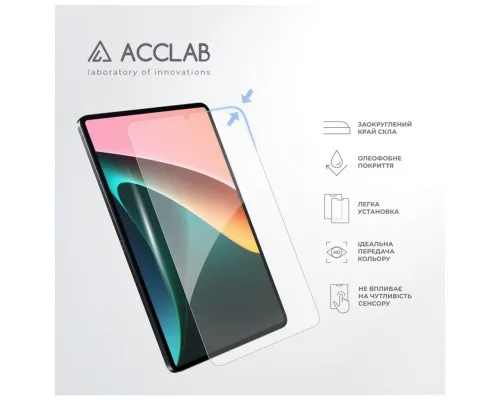 Стекло защитное ACCLAB Full Glue Xiaomi PAD 5 11 (1283126575587)