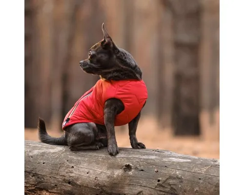Жилет для тварин Pet Fashion E.Vest S червоний (4823082424450)