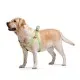 Шлей для собак WAUDOG Re-cotton с QR-паспортом М салатовая (03325)