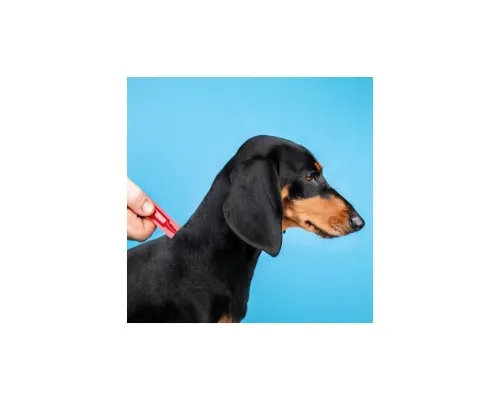 Капли для животных ProVET Profiline инсектоакарицид для собак 4-10 кг 4/1 мл (4823082431045)