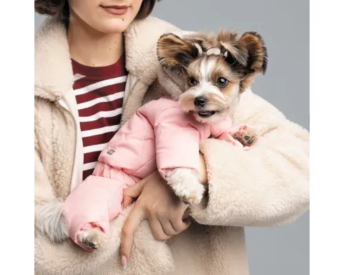 Костюм для животных Pet Fashion JUDY XS пудровый (4823082428823)