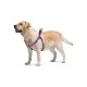Шлея для собак WAUDOG Nylon з QR паспортом анатомічна Фіолетовий камо XS (5261)