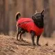 Жилет для тварин Pet Fashion E.Vest XS-2 червоний (4823082424443)