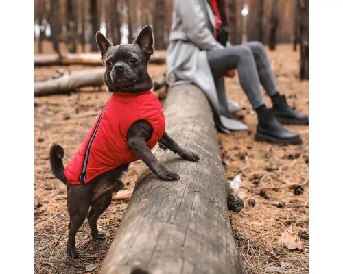 Жилет для тварин Pet Fashion E.Vest XS-2 червоний (4823082424443)