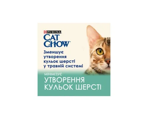 Вологий корм для кішок Purina Cat Chow Hairball з куркою та зеленою квасолею в желе 85г (7613037031393)