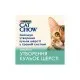 Влажный корм для кошек Purina Cat Chow Hairball с курицей и зеленой фасолью в желе 85г (7613037031393)