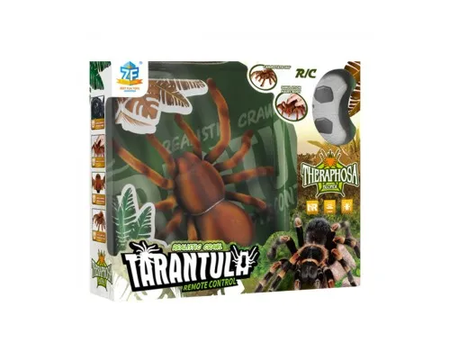 Радіокерована іграшка Best Fun Toys Tarantula (6337201)