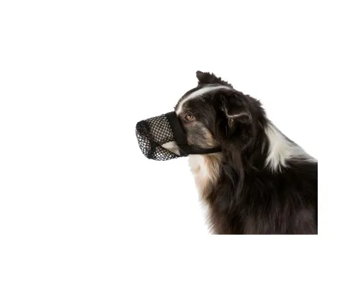 Намордник для собак Trixie для захисту від отрут S-M 22 см/18-40 см (4011905175935)