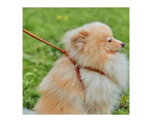 Шлея для собак WAUDOG Soft з QR паспортом кругла Д 6 мм А 26-46 см В 30-50 см коричнева (46236)
