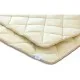 Ковдра MirSon антиалергенна 3M Thinsulate №1335 Carmela Зимова 155x215 см (2200001530614)