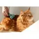 Фурмінатор для тварин FURminator для котів з довгою шерстю розмір S (4048422141228)