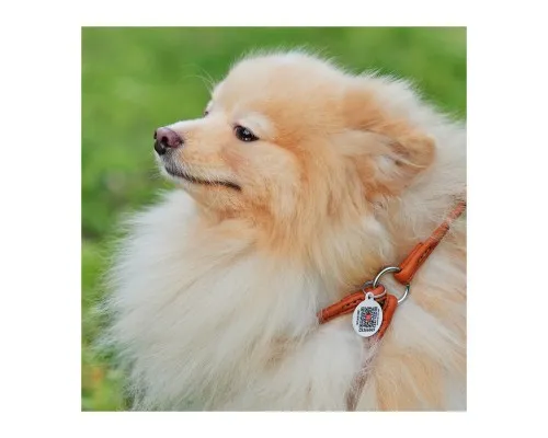 Шлея для собак WAUDOG Soft з QR паспортом кругла Д 6 мм А 42-60 см В 46-64 см коричнева (46206)