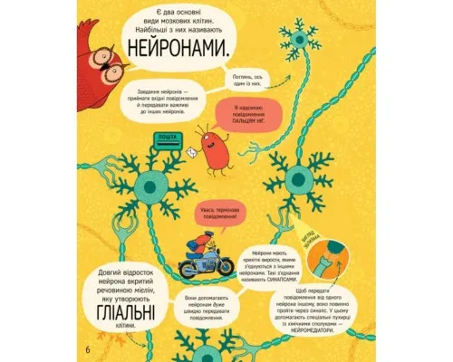 Книга Книжка про мозок і те, як він працює - Бетіна Іп Книголав (9786178012243)