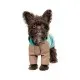 Дождевик для животных Pet Fashion Semmy XS2 (4823082434503)