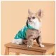 Дождевик для животных Pet Fashion Semmy XS2 (4823082434503)