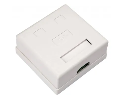 Комп'ютерна розетка RJ45x2 UTP cat.5e 8P8C Vinga (VCPRJ45O2)