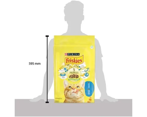 Сухой корм для кошек Purina Friskies со вкусом лосося и овощей 10 кг (5997204515469)