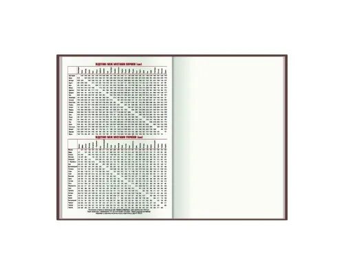 Тижневик Economix датований 2024 Spectrum, бірюза А5 (E21848)