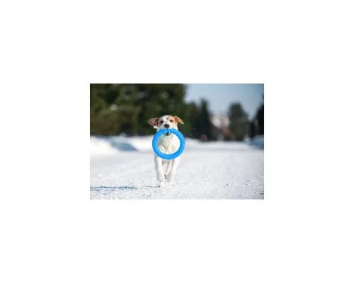 Іграшка для собак Collar PitchDog Кільце для апортування 17 см блакитне (62362)