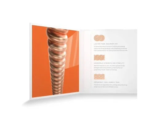 Струни для гітари D'Addario XS Phosphor Bronze Extra Light (10-47) (XSAPB1047)