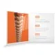 Струни для гітари D'Addario XS Phosphor Bronze Extra Light (10-47) (XSAPB1047)