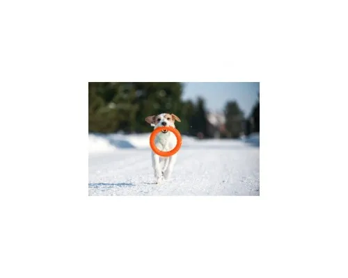 Іграшка для собак Collar PitchDog Кільце для апортування 17 см помаранчеве (62364)