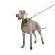 Шлей для собак WAUDOG Nylon анатомическая H-образная Смелость М (5150-0231)