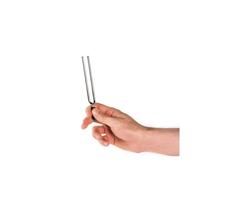 Камертон D'Addario Tuning Fork (E) (PWTF-E)