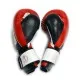 Боксерські рукавички Thor Thunder 16oz Red (529/13(Leather) RED 16 oz.)