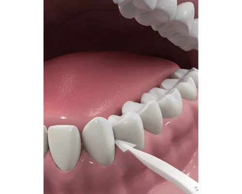 Флос-зубочистки DenTek Комплексне очищення Задні зуби 75 шт. (047701002155)