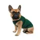 Борцівка для тварин Pet Fashion Sun Please S2 темно-зелена (4823082424696)