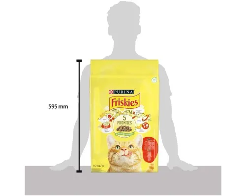 Сухой корм для кошек Purina Friskies с говядиной, курицей и овощами 10 кг (5997204569004)