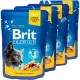 Влажный корм для кошек Brit Premium Cat с лососем и форелью 3+1 100 г (2700000030325)