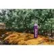 Термос Tramp Expedition Line 0.75 л Purple (UTRC-031-purple)