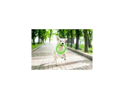 Іграшка для собак Collar PitchDog Кільце для апортування 17 см салатове (62365)