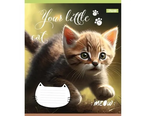 Зошит 1 вересня Your little cat 24 аркушів лінія (766653)