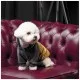 Толстовка для животных Pet Fashion Rollie S (4823082427703)