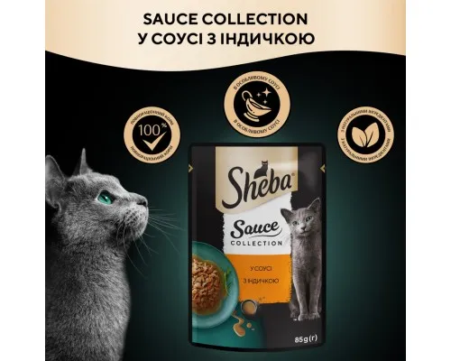 Вологий корм для кішок Sheba з індичкою в соусі 85 г (4770608265434)
