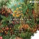 Пазл GoodLoot Imagination: Ernst Haeckel Muscinae 1000 элементов (5908305239642)