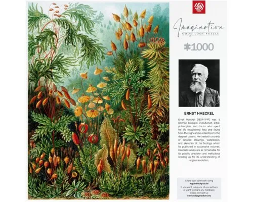 Пазл GoodLoot Imagination: Ernst Haeckel Muscinae 1000 елементів (5908305239642)