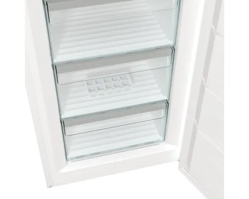 Морозильна камера Gorenje FN619EAW6