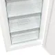 Морозильна камера Gorenje FN619EAW6