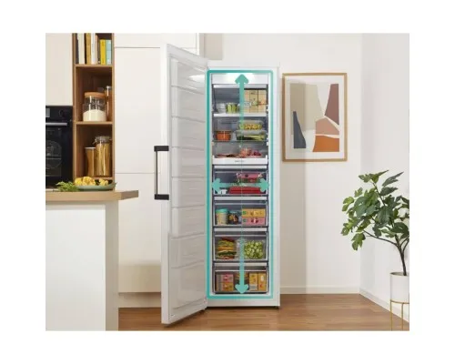 Морозильна камера Gorenje FN619EAW6