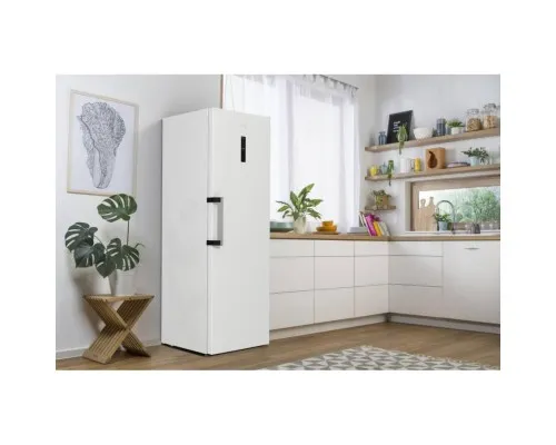 Морозильна камера Gorenje FN619EAW6