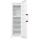 Морозильна камера Gorenje FN619EAW6
