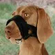 Намордник для собак Trixie петля з нейлону XL для бернського зенненхунда 20-30 см/23-34 (4011905192826)