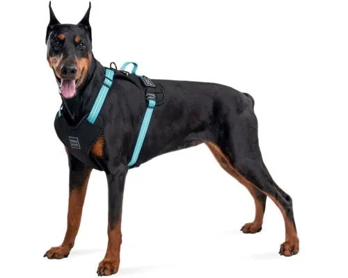 Шлей для собак WAUDOG Nylon безопасна с QR паспортом M голубая (52492)