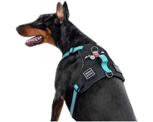 Шлей для собак WAUDOG Nylon безопасна с QR паспортом M голубая (52492)