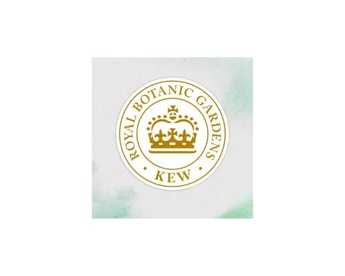 Шампунь Herbal Essences Апельсин Для об'єму волосся 350 мл (8700216210713)