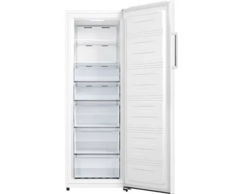 Морозильна камера Gorenje FN617EEW5